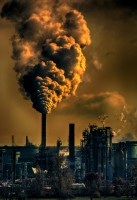 ENVS461 blog 6 Unit 5: Anthropocene, Capitalocene