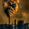 ENVS461 blog 6 Unit 5: Anthropocene, Capitalocene
