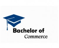 Bachelor of Commerce students