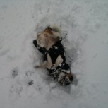 Dave in snow